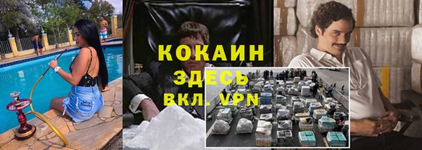 тгк Алзамай