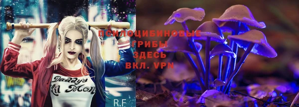 мяу мяу кристалл Алексин